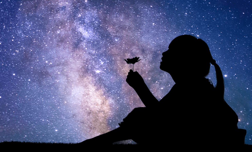 Petite fille tenant une fleur dans sa main sous un ciel étoilé - Agrandir l'image, fenêtre modale